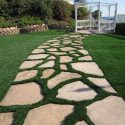 Water Saving Lawn Alternatives For Southern Californians